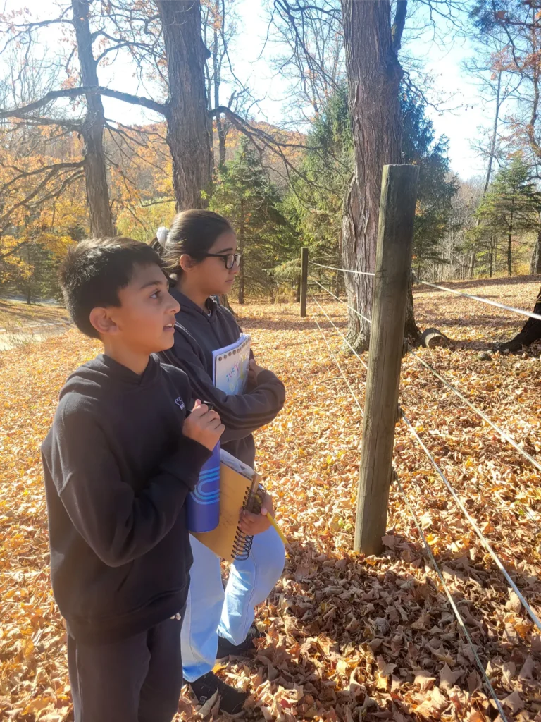 Two students in autumn woods examining a fenced clearing, holding notebooks during an outdoor nature study